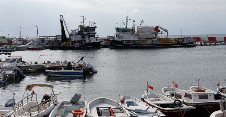 Tekirdağ'da Poyrazın Deniz Ulaşımına Etkisi