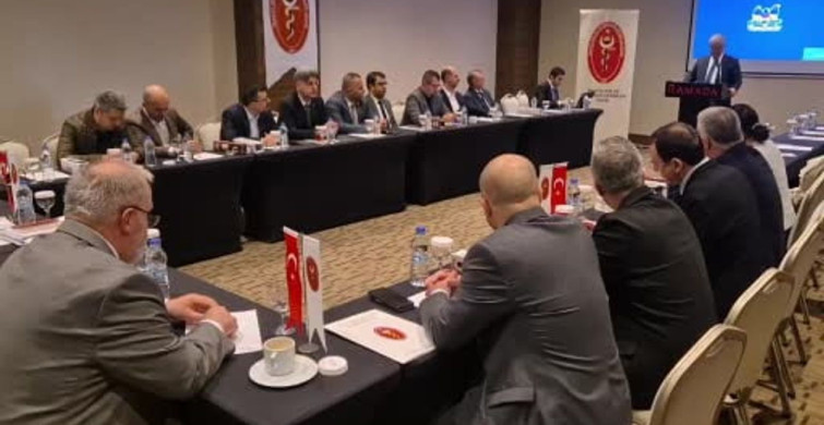 Tekirdağ'da Sokak Hayvanları İçin Veteriner Hekim İstihdamı Çağrısı
