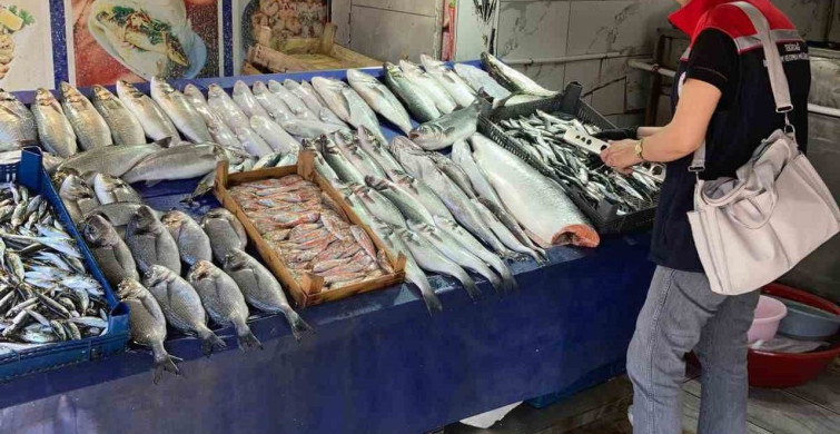 Tekirdağ'da Su Ürünleri Denetimleri Devam Ediyor