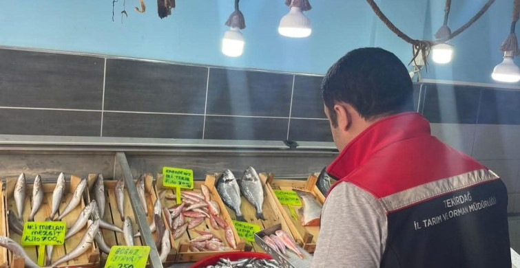 Tekirdağ'da Su Ürünleri Denetimleri Devam Ediyor