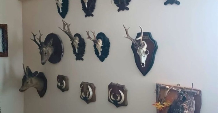 Tekirdağ'da Tahnit ve Trophi Ele Geçirildi