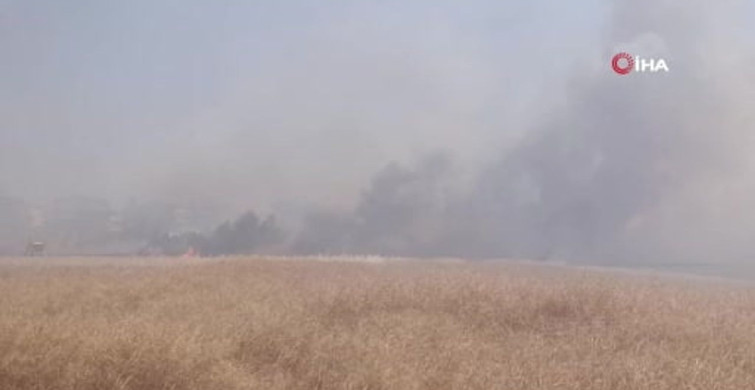 Tekirdağ'da tarım arazisinde iki noktada yangın