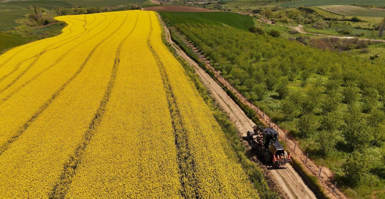 Tekirdağ'da Tarla Yolları Hasat İçin Hazırlanıyor
