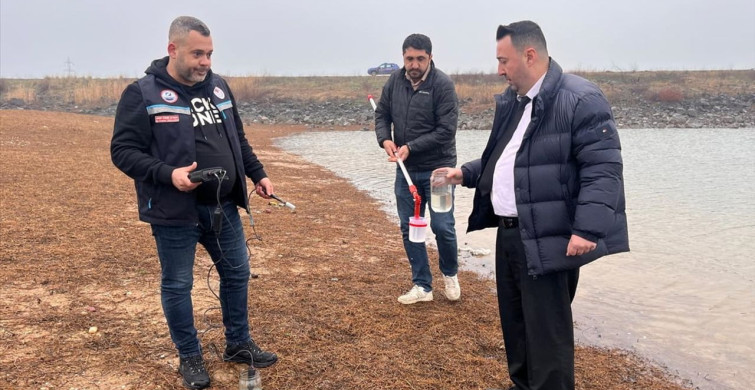Tekirdağ'da Temrezli Göleti'nde Balık Ölümleri