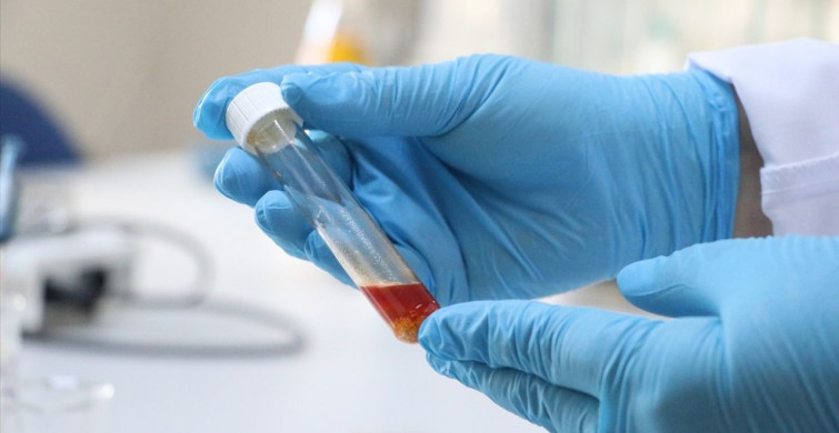 Tekirdağ'da Üzüm Atığından Yenilikçi Tek Hücre Yağı Üretimi