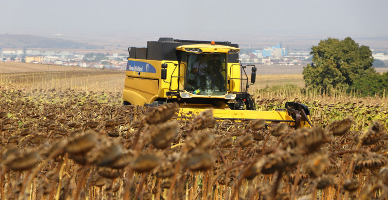 Tekirdağ'da Yerli Ayçiçeği Tohumu Projesi’nde Yetiştirilen Ürünlerin Hasadı Yapıldı