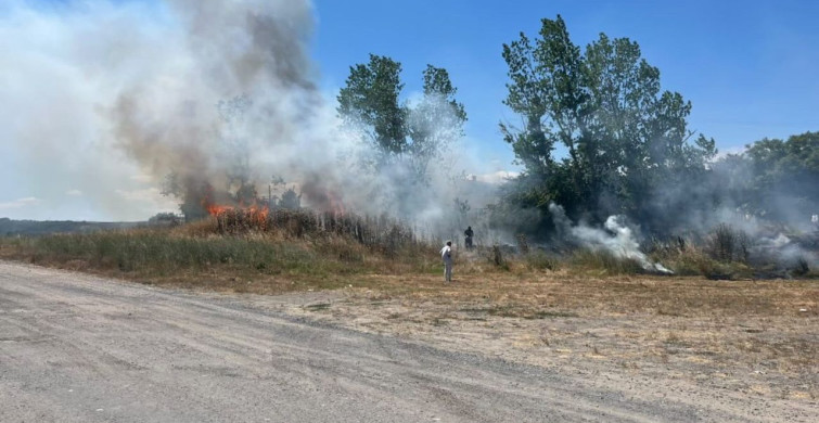 Tekirdağ'ın Muratlı ilçesinde otluk alanda çıkan yangın kontrol altına alındı