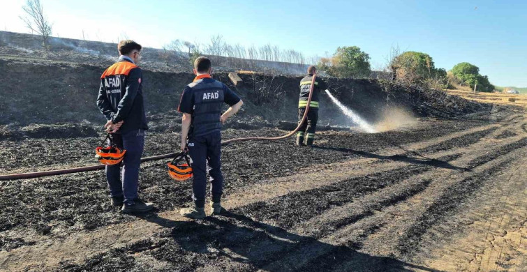 Tekirdağ'ın Süleymanpaşa ilçesinde buğday tarlalarında yangın