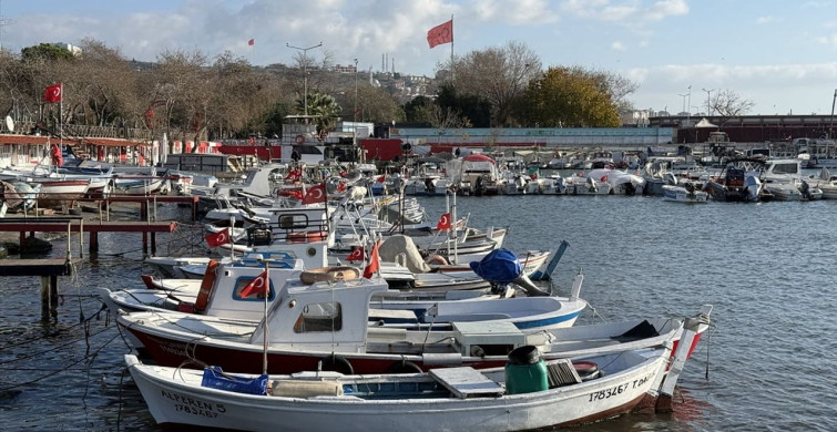 Tekirdağlı Balıkçılar Yağmurlu Yılda Sardalya ve İstavrit İçin Umutlu