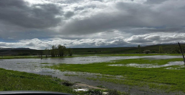 Tercan'da Aşırı Yağışların Tarıma Etkisi