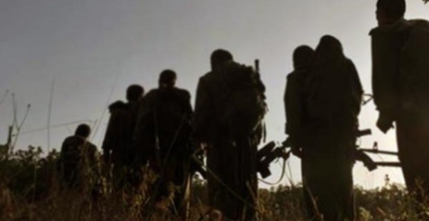 Terör Örgütü PKK'nın Sapkınlık Raporu Kan Dondurdu!