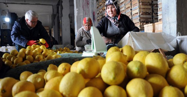 Tezgahların Zam Şampiyonu Limon Oldu