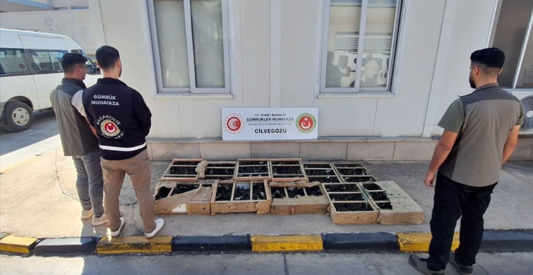 Ticaret Bakanlığı, Kaçak Canlı Hayvan Operasyonlarında Başarı Elde Etti
