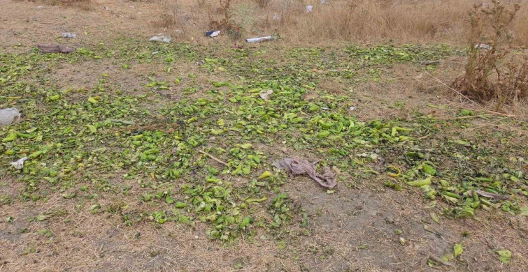 Ticaret Bakanlığı'ndan Biber Görüntülerine İlişkin Açıklama