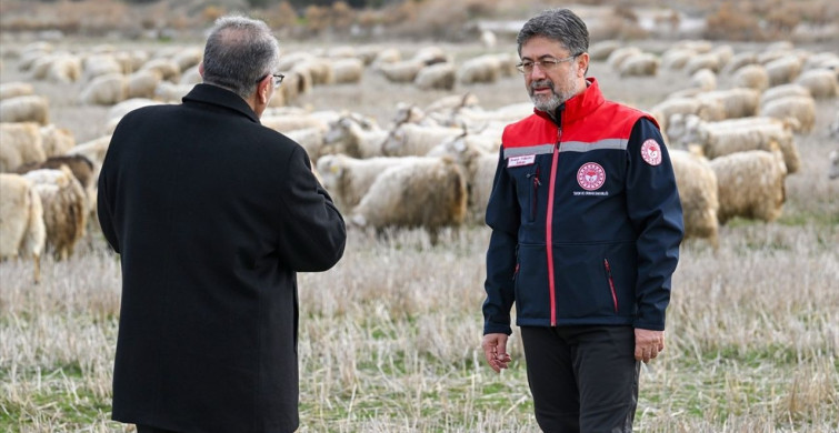 Tiftiğin Ekonomiye Kazandırılması İçin Destek Mekanizmaları Geliştiriliyor