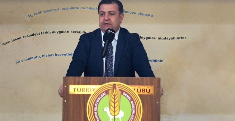 TİGEM'den Rekor Satış: Arap Tayı 10 Milyon 500 Bin Liraya Satıldı