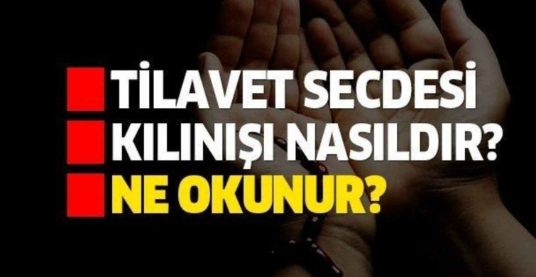 Tilavet secdesi niyetiyle nasıl yapılır? Tilavet secdesi ne demek?  Tilavet secdesi nasıl kılınır?