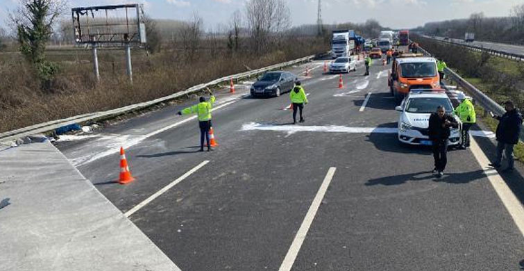 TIR'lar Çarpıştı Koyunlar Telef Oldu