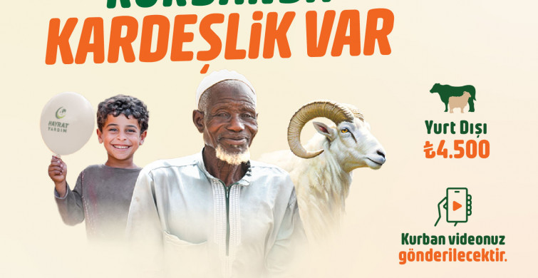 Petek temizlemek neden önemli? Kalorifer peteği temizliği nasıl yapılır? Pratik ve etkili kalorifer temizliği...