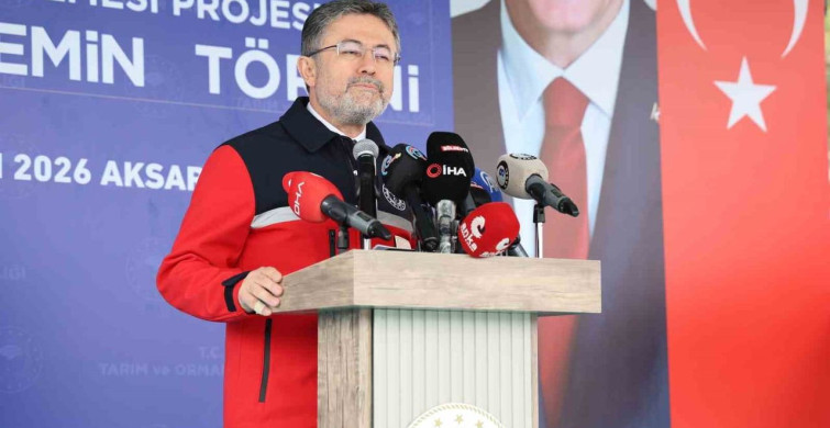 Tohum İhracatı ve İthalatı Üzerine Açıklamalar