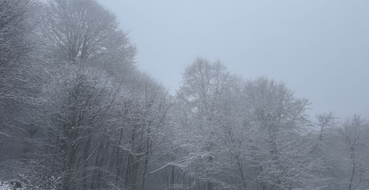 Tokat'ın Yüksek Kesimlerinde Kar Yağışı Etkili Oldu