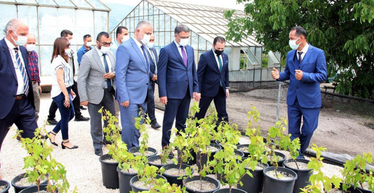 Tokat’ta 60 Bin Tüplü Asma Fidanı Tören Yapılarak Emektar Üreticilere Dağıtıldı