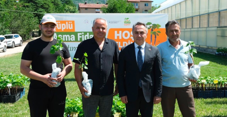 Tokat'ta bağcılığı desteklemek için asma fidanı dağıtımı yapıldı