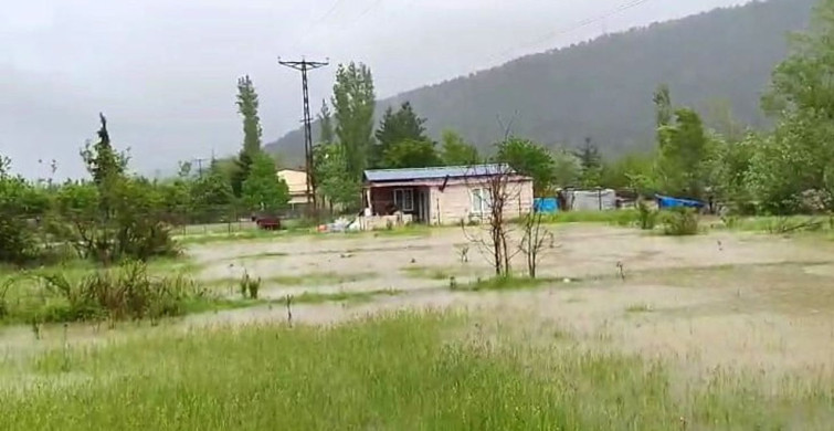 Tokat'ta Kelkitçayı Taştı, Tarım Arazileri Sular Altında Kaldı