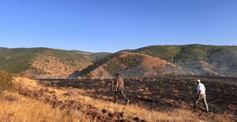 Tokat'ta Orman Yangını: 2 Hektar Alan Zarar Gördü
