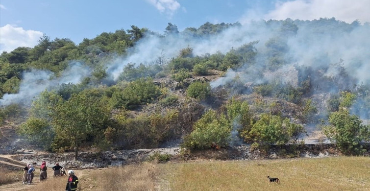 Tokat'ta Orman Yangını Kontrol Altına Alındı