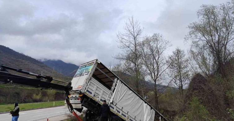 Tokat'ta Trafik Kazası: 3 Yaralı ve 6 Hayvan Telef Oldu
