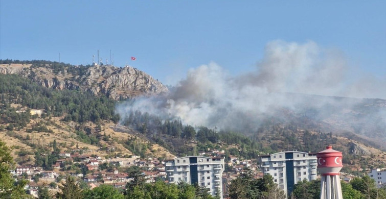 Tokat'taki Orman Yangınına Müdahale Devam Ediyor