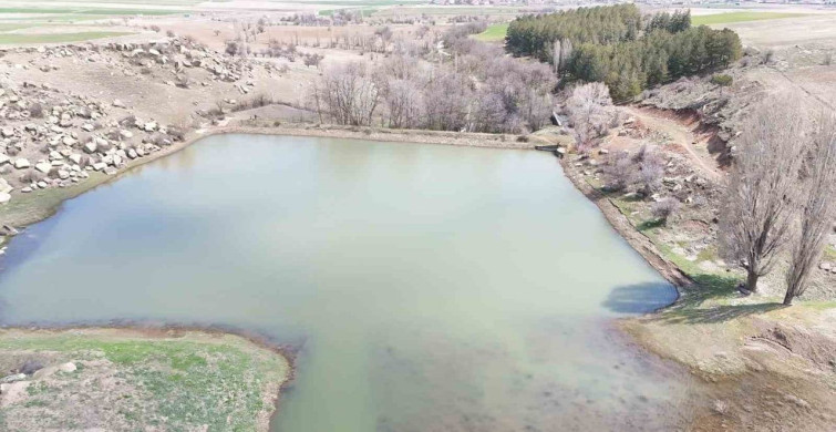 Tomarza'da Yağışlar Tarım Üzerinde Olumlu Etki Yaratıyor