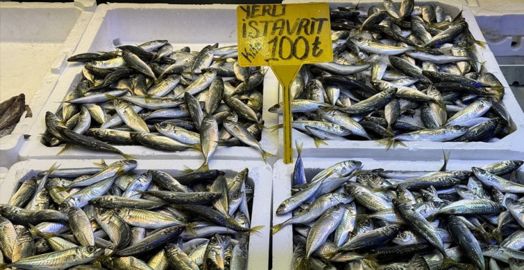 Trabzon'da Balık Fiyatları