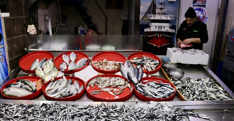 Trabzon'da Hamsi Bolluğu Devam Ediyor