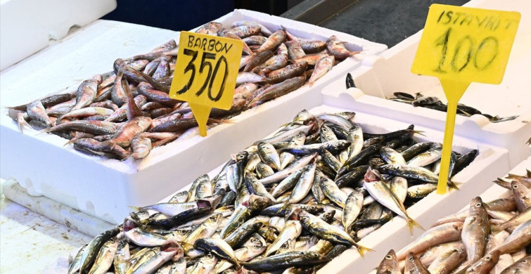 Trabzon'da Hamsi Fiyatları