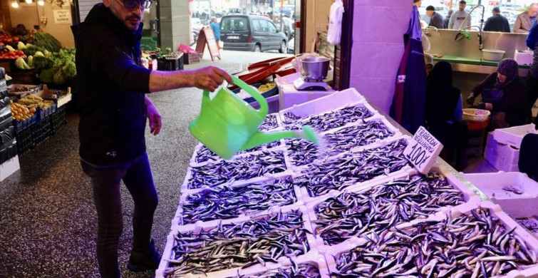 Trabzon'da Hamsi Fiyatları Tırmanışta Trabzon'da Hamsi Fiyatları Tırmanışta