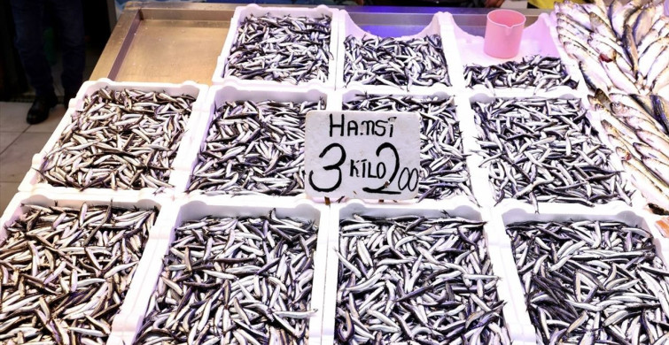 Trabzon'da Hamsinin Kilogramı 75 Lira