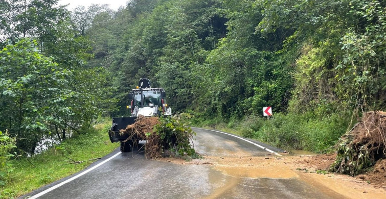 Trabzon'da Heyelanlar Etkili Oldu