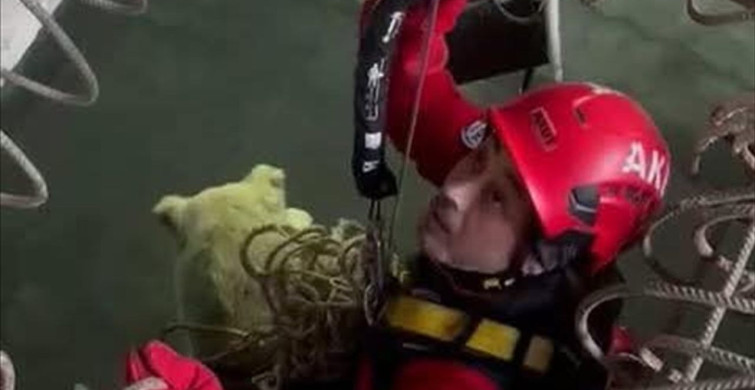 Trabzon'da İnşaat Çukuruna Düşen Köpek Kurtarıldı