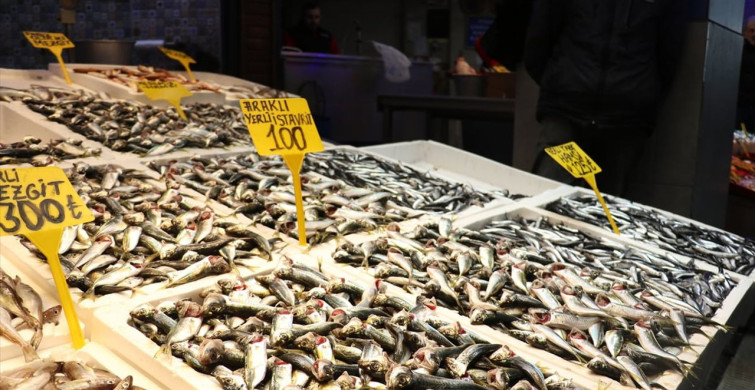 Trabzon'da İstavrite Yoğun İlgi