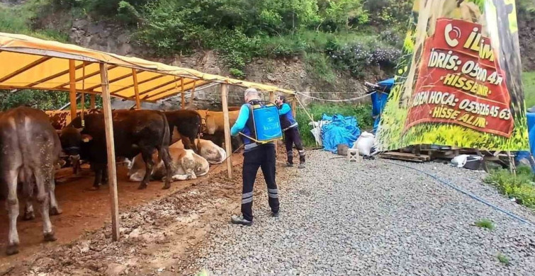 Trabzon'da Kurban Alanlarında Hijyen Seferberliği