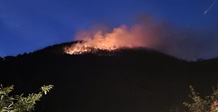 Trabzon'daki Örtü Yangını Kontrol Altına Alındı