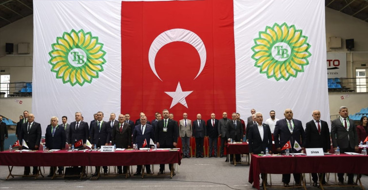 Trakya Birlik 2024-2025 İş Yılında 389 Bin Ton Ayçiçeği Satın Aldı