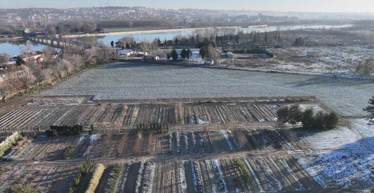 Trakya'da Soğuk Hava Etkisini Gösteriyor
