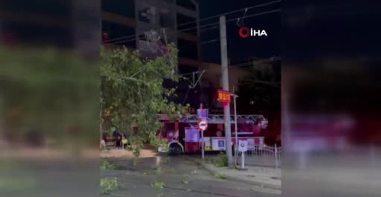 Tramvay hattına düşen dal seferleri aksattı