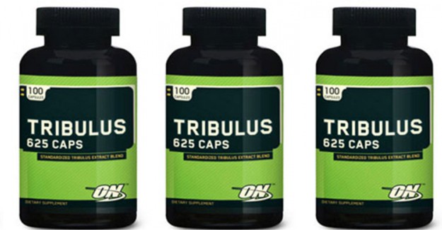Tribulus Nedir?