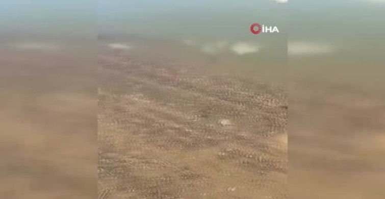 Tufanbeyli'de Gizemli Ölüm: 24 Yaşındaki Kadın Barajda Bulundu