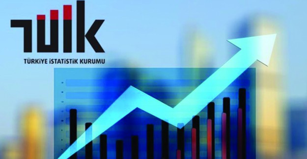 TÜİK'in Açıkladığı TEFE TÜFE Oranına Göre 2018-2019 Aralık Ocak Ayı Kira Artışı Zam Oranı