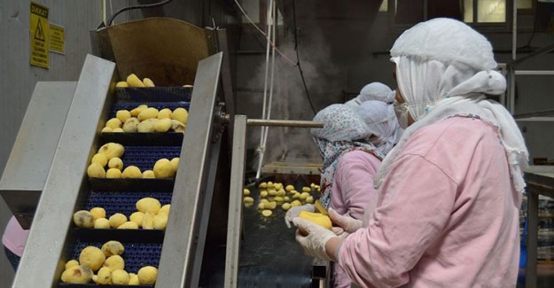 Tüketicinin Patates Püresine İlgisi Arttı